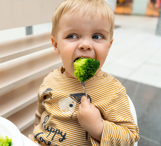 Kids Tableware Tips: Safe and Fun Meal Times